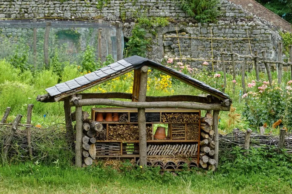 5 Praktycznych Kroków, Jak Zrobić Domek dla Owadów DIY w Ogrodzie