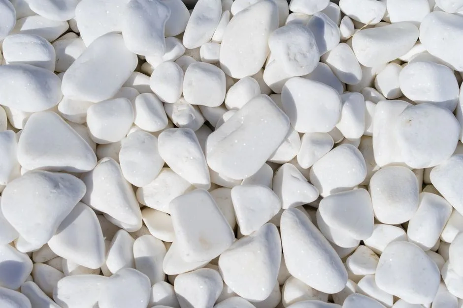 High-resolution close-up of smooth white pebbles, ideal for decorative and landscaping purposes.