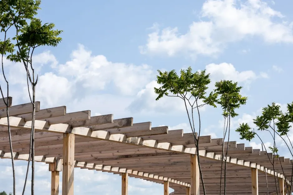Diy Pergolas