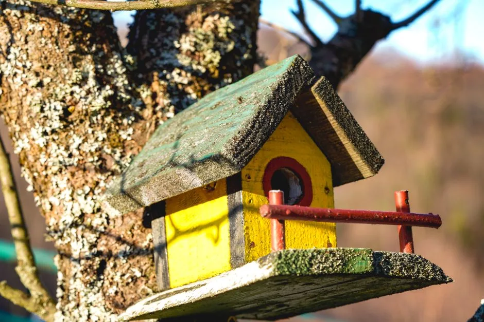 Bright yellow birdhouse perched on a tree branch in sunny outdoor setting.