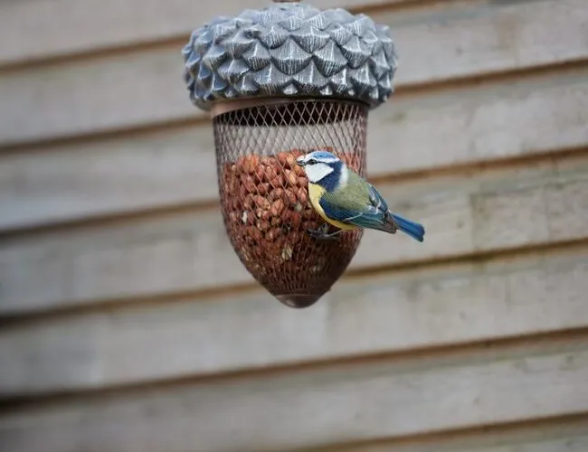 Diy Bird Feeder