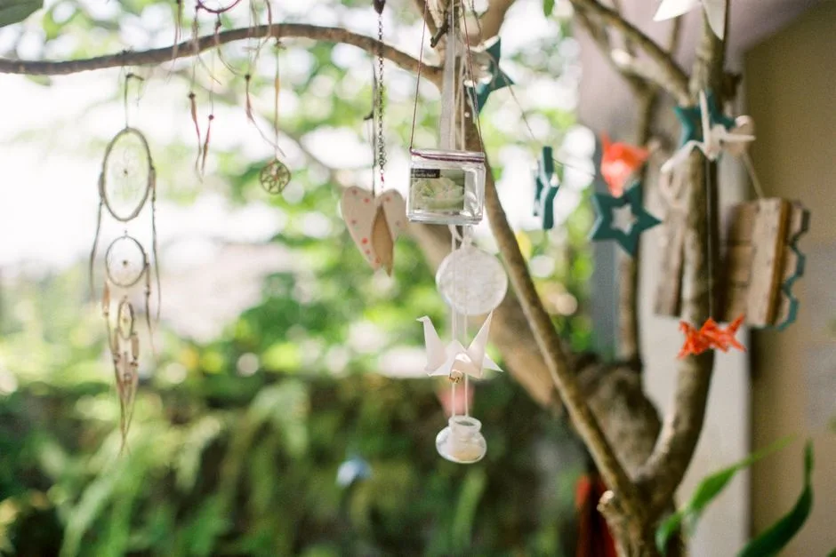 Enchanting hanging dream catchers and whimsical ornaments on a tree branch outdoors.