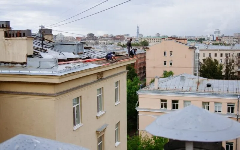 Kłaść papę na papę? Krok po kroku i czy to opłacalne
