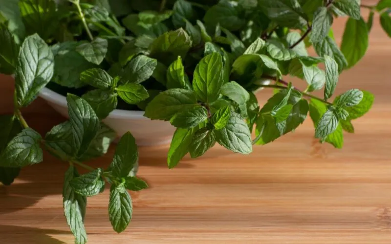 Nie wkładaj ziół do słoików. 5 metod na dłuższy aromat w 2026