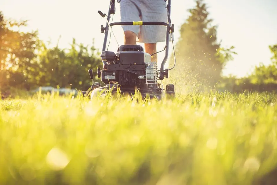 Kosiarka robot czy zwykła? Liczymy koszty i oszczędności na 5 lat