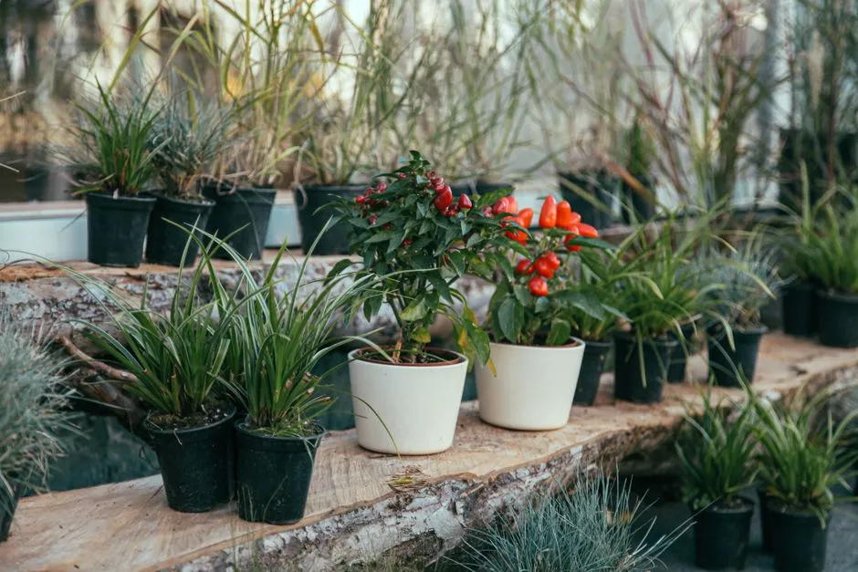Półka na Kwiaty DIY: 7 Pomysłów na Stylową i Praktyczną Ozdobę