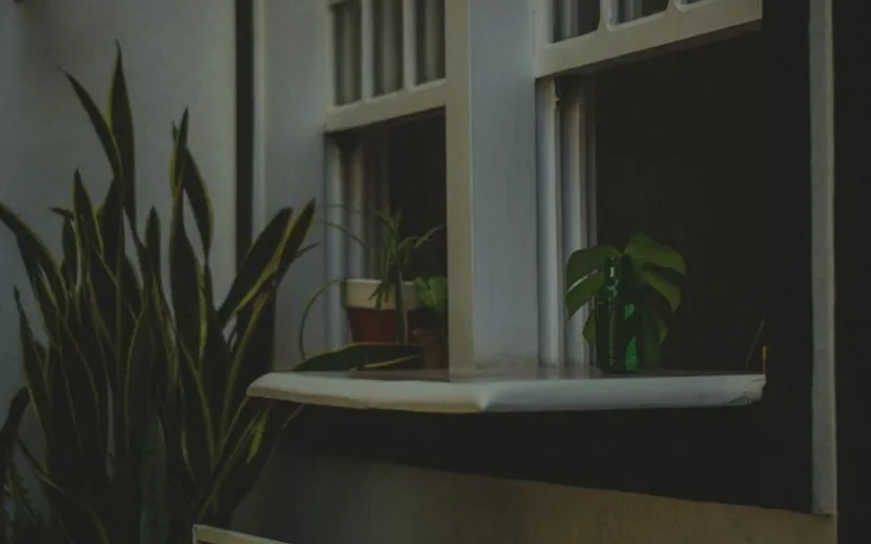Moody indoor scene with potted plants and a window sill, exuding tranquility.