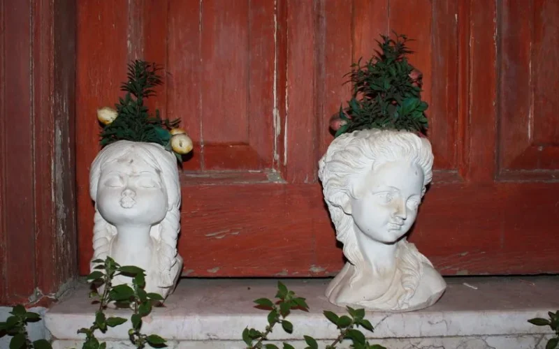 Two stone bust planters with lush greenery set against a rustic wooden door.