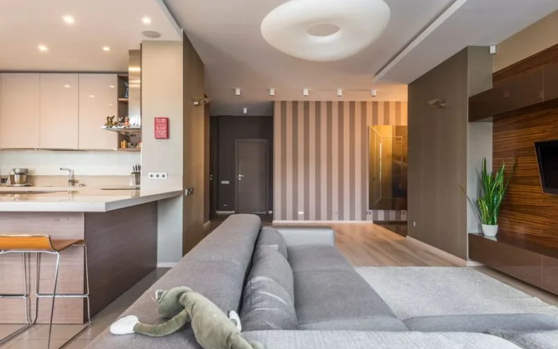 Spacious living room with a modern, minimalist design and open kitchen layout.