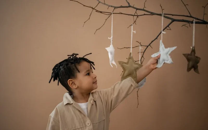 Adorable African American kid with dreadlocks touching soft felt stars decorating thin tree branches against light brown background