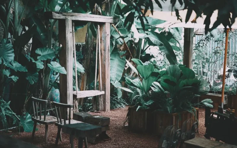 Natural garden scene with wooden swing and lush greenery, perfect for relaxation.
