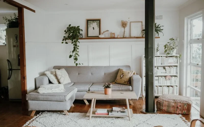Bright and cozy living room with Scandinavian design and modern home decor, featuring a sofa and plants.
