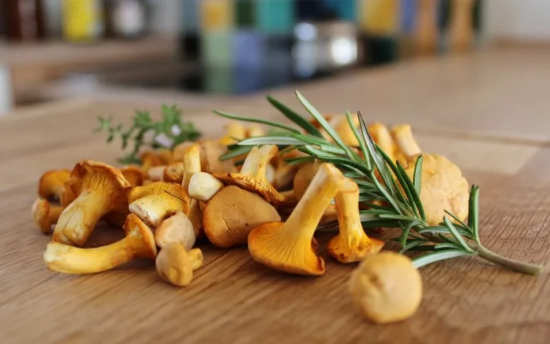 Close-up of fresh chanterelle mushrooms and rosemary sprigs on a wooden table, ideal for cooking.