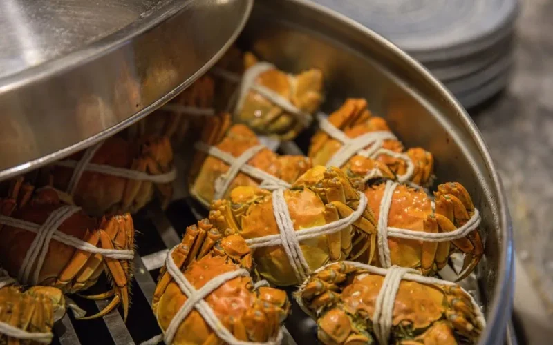Close-up of tied crabs being steamed in a metal pot, ready for cooking.
