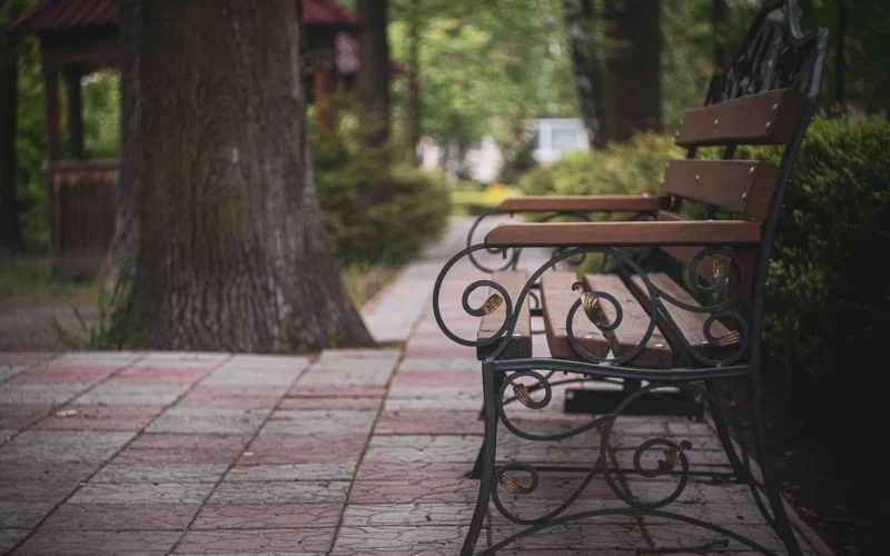 bench, park, garden, drzewo, seat, nature, zielony, chair, jesień, trawa, relax, drewno, outdoor, na dworze, wooden, furniture, summer, wiosna, sit, path, nobody, empty, miasto, metal, stary, bench, bench, bench, garden, garden, garden, nature, relax, relax, relax, relax, relax, furniture, furniture, sit