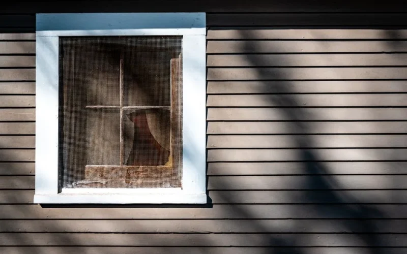 A rustic wooden house exterior showcasing a window with a mosquito net casting shadows in sunlight.