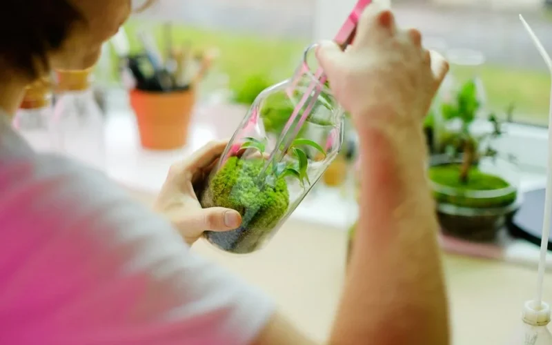 Man using tongs to arrange a moss terrarium in a glass jar under natural light.