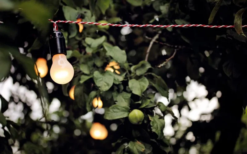 Oświetlenie dekoracyjne w ogrodzie - jak wybrać lampy solarne i girlandy na letnie wieczory?