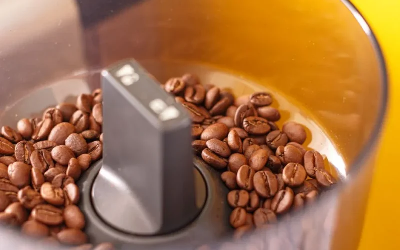 A focused view of roasted coffee beans inside a coffee grinder, offering a glimpse into the caffeine-making process.
