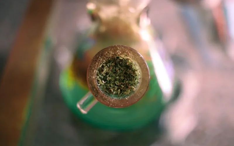 A detailed image of ground cannabis packed in a glass water pipe, highlighting its intricate texture.