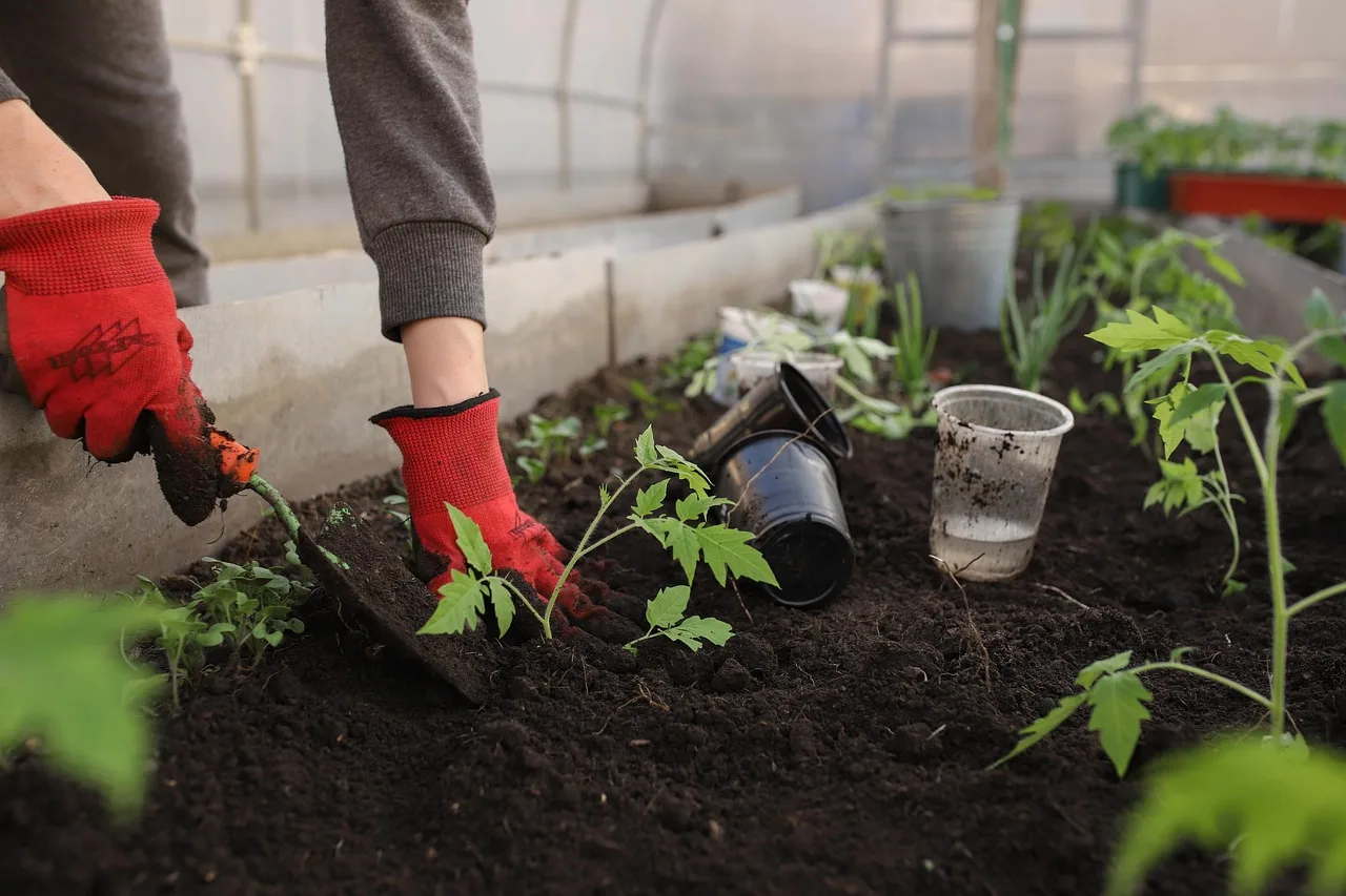 10 Genialnych Projektów Ogród DIY, Które Odmienią Twoją Działkę