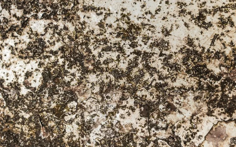 Detailed view of a rusted and stained metal surface showcasing intricate textures and patterns.