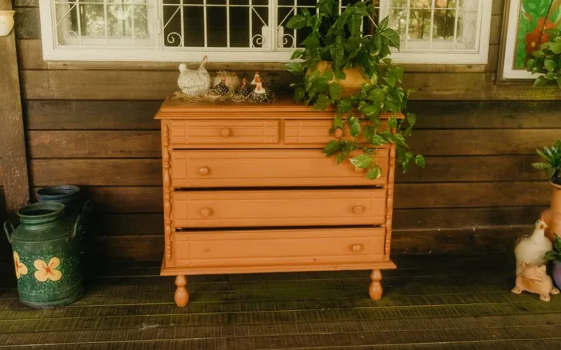 Wooden dresser painted orange with plants and ceramic hens, perfect for rustic decor.