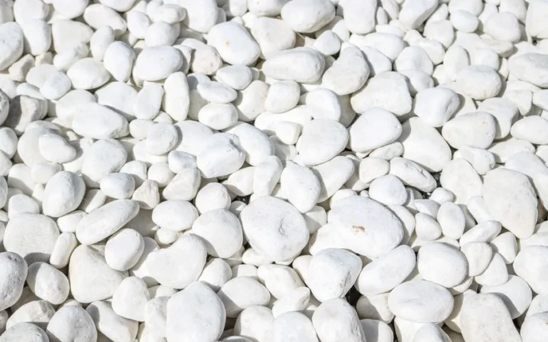 Close-up of smooth white pebbles creating a natural textured background.