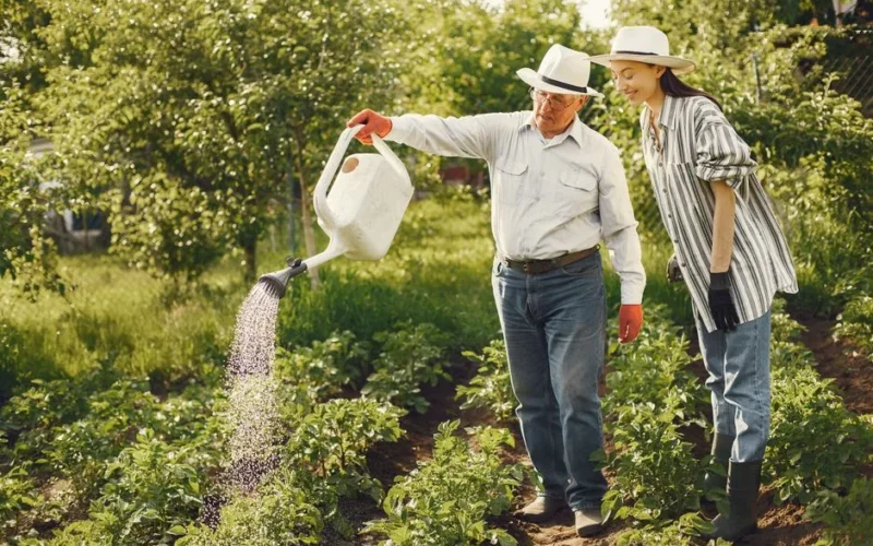 Two farmers watering crops in a lush summer garden, wearing fedoras and casual attire.