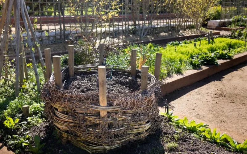 A woven compost bin in a lush garden with spring plants thriving in sunlight.